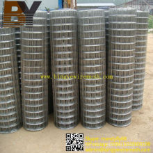 Gopher Basket Stainless Steel Welded Wire Mesh